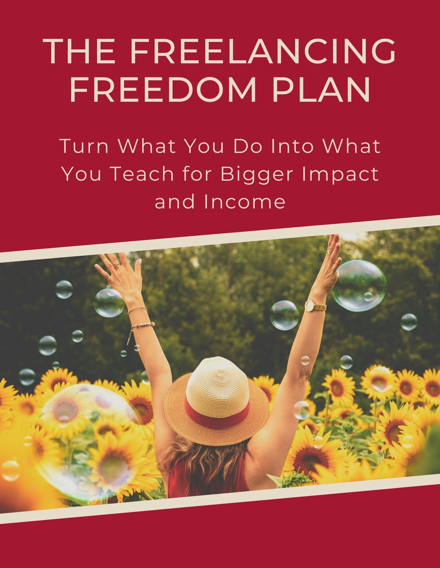 Freelancing Freedom Plan Cover