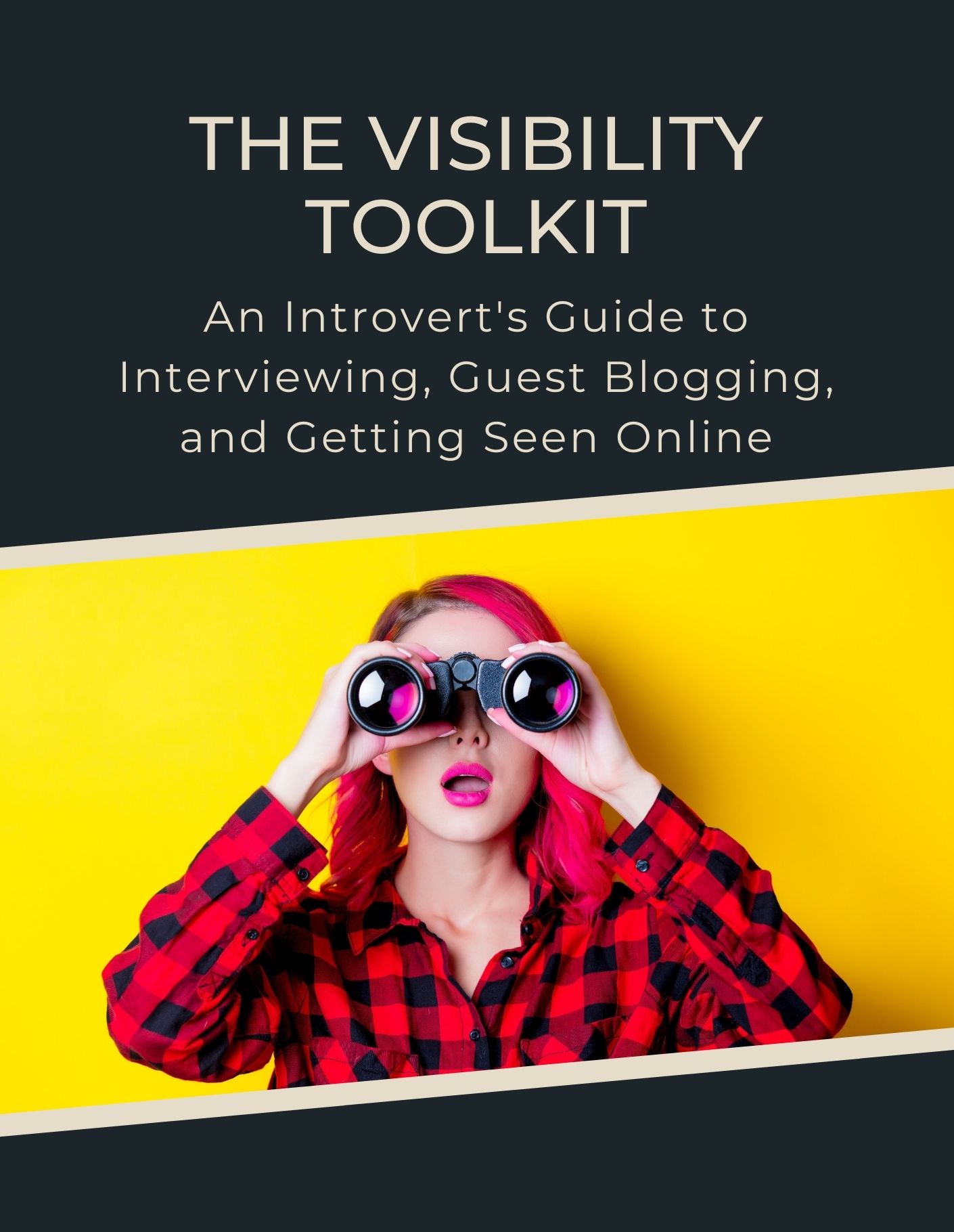 Visibility Toolkit Cover